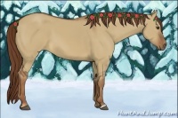 Horse Color:Red Dun 