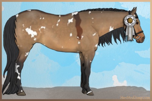 Horse Color:White Spotted Brown Dun 