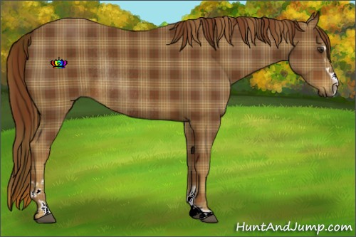 Horse Color:Plaid Chestnut Sabino Rabicano