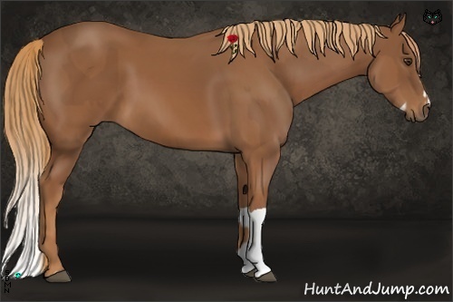 Horse Color:Chestnut and Chestnut Splash