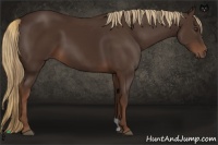 Horse Color:Liver Chestnut  and Liver Chestnut 