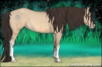 Horse Color:Amber Champagne Dun  and Amber Champagne Dun 