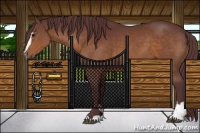 Horse Color:Chocolate Brown Sabino 