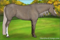 Horse Color:Silver Grullo  and Silver Grullo 