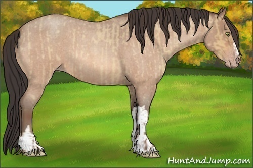 Horse Color:Amber Champagne Roan Dun and Amber Champagne Roan