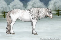 Horse Color:White Spotted Silver Brown