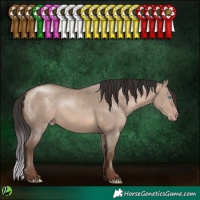 Horse Color:Sable Champagne Dun Rabicano Brindle 