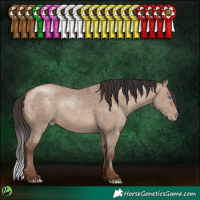 Horse Color:Sable Champagne Dun Rabicano Brindle 