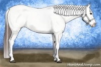 Horse Color:Brown Appaloosa Brindle