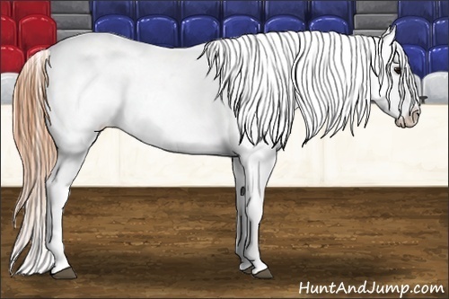 Horse Color:Buckskin Blanket  Brindle