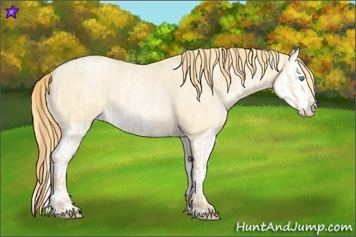 Horse Color:Buckskin Roan Pearl and Buckskin Roan Pearl Splash