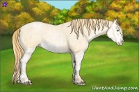 Horse Color:Buckskin Roan Pearl and Buckskin Roan Pearl Splash