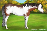 Horse Color:Brown Splash Frame Rabicano