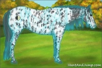 Horse Color:Thunderstruck White Spotted Black Appaloosa and Thunderstruck White Spotted Black Appaloosa