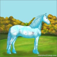 Horse Color:Thunderstruck Watercolor Bay Splash Tobiano Blanket