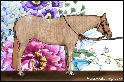 Horse Color:Red Roan Tobiano  and Red Roan 