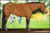 Horse Color:Buckskin  and Gray Buckskin 