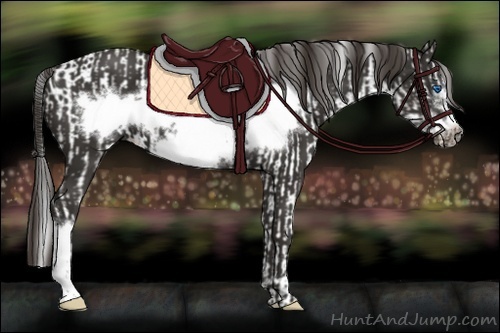 Horse Color:Liver Chestnut Frame  and Liver Chestnut Frame 