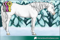 Horse Color:Cremello Tobiano Near Fewspot  and Chocolate Silver Classic Champagne Pearl Sabino 