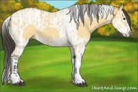 Horse Color:Buckskin Dun Tobiano and Buckskin Dun Splash Tobiano