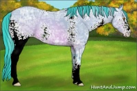 Horse Color:Watercolor White Spotted Sable Champagne Ice Rabicano