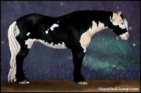 Horse Color:Silver Classic Champagne Ice Tobiano Frame Rabicano 