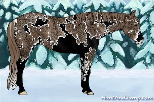 Horse Color:White Spotted Black Ice Pearl Sabino 