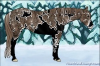 Horse Color:White Spotted Black Ice Pearl Sabino 