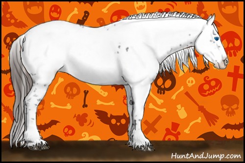 Horse Color:Liver Chestnut Frame 