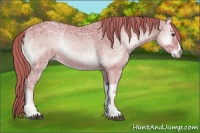 Horse Color:Watercolor Red Onyx Ice