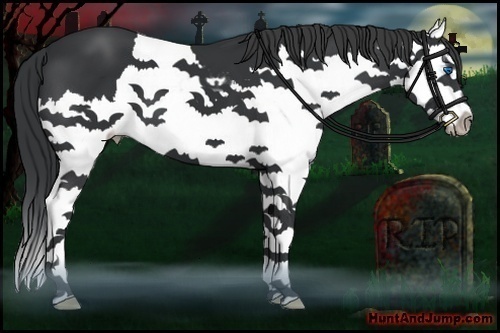 Horse Color:Black Sabino Splash 