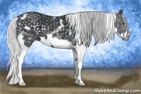 Horse Color:White Spotted Silver Black Chinchilla Splash Frame 