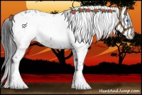 Horse Color:Black Frame