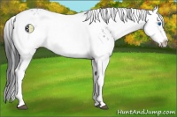 Horse Color:Black Frame