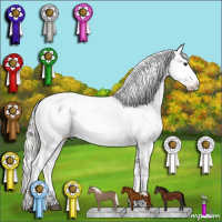 Horse Color:Liver Chestnut Mushroom Appaloosa 