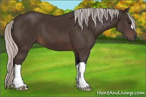 Horse Color:Silver Brown 