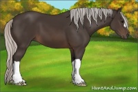 Horse Color:Silver Brown 
