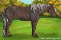 Horse Color:Black and Silver Black