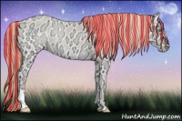 Horse Color:Painted Perlino Ice Onyx 