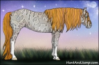 Horse Color:Painted Buckskin Ice Pearl Onyx 