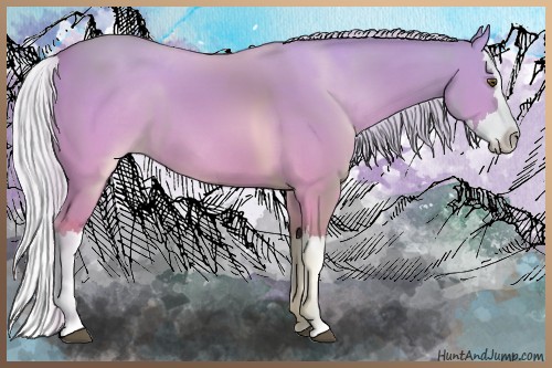 Horse Color:Silver Buckskin Dun Splash