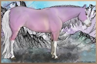 Horse Color:Silver Buckskin Dun Splash 