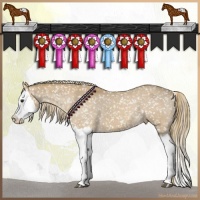 Horse Color:Chestnut Splash Snowflake Varnish