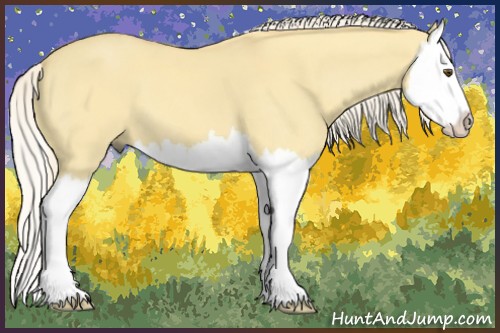Horse Color:Palomino Dun Splash