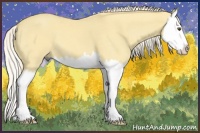 Horse Color:Palomino Dun Splash 