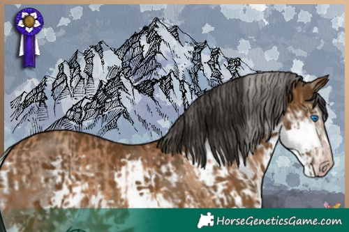 Horse Color:Gray White Spotted Silver Classic Champagne Splash Tobiano  and Gray Buckskin Sabino Splash Tobiano 