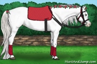 Horse Color:Silver Brown Appaloosa  Brindle