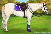 Horse Color:Buckskin Roan Pearl  and Buckskin Roan Pearl Splash 