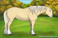 Horse Color:Palomino Dun Splash 