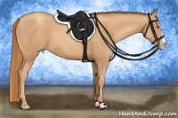 Horse Color:Gold Champagne Splash 